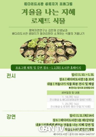 자연에게 배우는 겨울을 나는 지혜