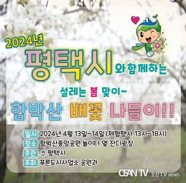 평택시 함박산중앙공원 배꽃 나들이 행사 진행