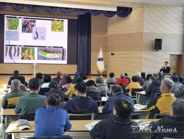 용인특례시의 농업인 상설 교육 중 14일에 진행된 '고품질 고추재배 기술 교육' 현장 모습