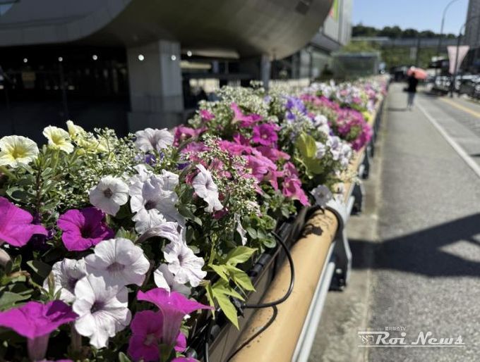 기흥역 앞 구갈2교 교량화분