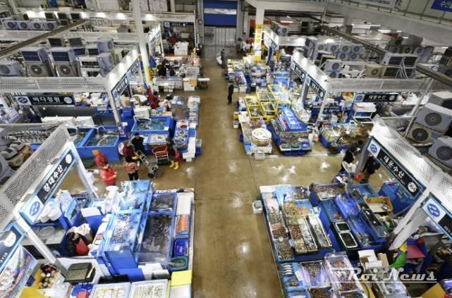 수원시 농수산물도매시장 수산동 전경