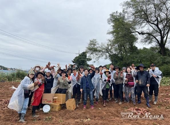 오산시 대원2동 통장협의회, ‘사랑의 고구마 수확’ 봉사활동 전개