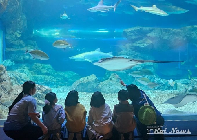 “하루에 바다를 다 체험할지니”수원 E:음 거점형 늘봄센터, 아쿠아플라넷 광교에서 해양생태 탐구 체험 운영